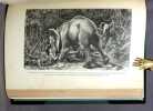 Elephant-hunting in East Equatorial Africa being an account of three years' ivory-hunting under Mount Kenia and among the Ndorobo savages of the ...
