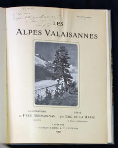 Les Alpes valaisannes.
