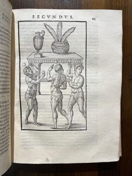Hieronymi mercurialis de arte gymnastica libri Sex, in quibus exercitationum omnium vetustarum genera, loca, modi, facultates, & quidquid denique ad ...