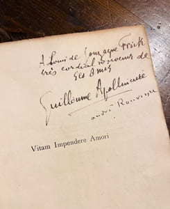 Vitam Impedere Amori. Poèmes et dessins.