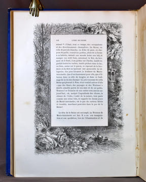 Histoire de Marie-Antoinette. Edition ornée d'encadrements à chaque page par Giacomelli et de douze planches hors texte reproductions d'originaux du ...