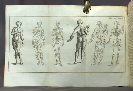 Dictionarium Polygraphicum: or, the whole body of arts regularly digested.