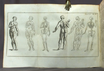 Dictionarium Polygraphicum: or, the whole body of arts regularly digested.