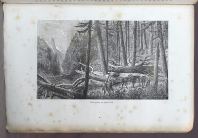 Voyage de l'Atlantique au Pacifique à travers le Canada, les Montagnes Rocheuses et la Colombie anglaise.