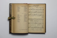 L'écho des Alpes. Publication des sections romandes du club alpin suisse. 1874 [et] 1875.