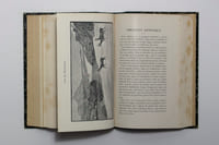 L'écho des Alpes. Publication des sections romandes du club alpin suisse. 1900 [et] 1901.