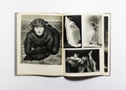 Colette. par [COLETTE] Le Point, revue artistique et littéraire: - Image 3
