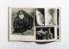 Colette. XXXIX.. [COLETTE] Le Point, revue artistique et litt&eacute;raire: