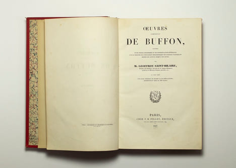 Les oiseaux.. BUFFON: