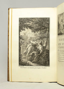 Lettres en vers, ou épitres héroïques et amoureuses [suivi de] Lettre de Barnevelet dans sa prison, à Tuman son ami, précédée d’une lettre de l’auteur ...