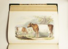 The Breeds of the domestic animals of the British islands... Illustrated with plates, from drawings by Mr. W. Nicholson, R.S.A., reduced from a series ...