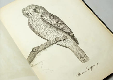 Voyage au Cap-Nord par la Suède, la Finlande et la Laponie. Collection de planches.. ACERBI Joseph - LAVALLEE Joseph: