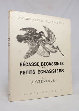 Bécasse, bécassines et petits échassiers. Le monde merveilleux des bêtes.. OBERTHUR J: