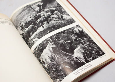 Rapport sur la conférence pour la protection internationale de la Nature. Bâle, 30 juin - 7 juillet 1946.