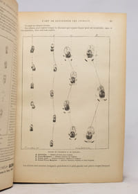 Almanach encyclopédique de la chasse illustrée. [1903-1909].