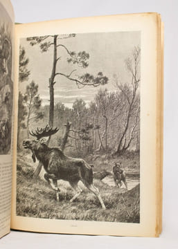 Almanach encyclopédique de la chasse illustrée. [1903-1909].. [ALMANACH DE LA CHASSE]: