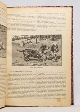 Almanach encyclopédique de la chasse illustrée. [1895-1903].. [ALMANACH DE LA CHASSE]: