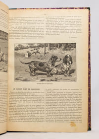 Almanach encyclopédique de la chasse illustrée. [1895-1903].