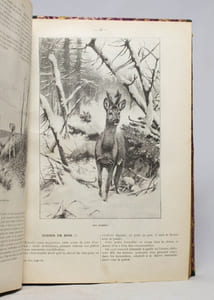 Almanach encyclopédique de la chasse illustrée. [1895-1903].
