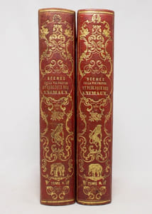 Scènes de la vie privée et publique des animaux. Études de moeurs contemporaines publiées sous la direction de M. P. J. Stahl, avec la collaboration de MM. de Balzac, L. Baude, E. de La Bédollière, P. Bernard, J. Janin, E. Lemoine, Charles Nodier, Georges Sand.