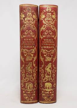 Scènes de la vie privée et publique des animaux. Études de moeurs contemporaines publiées sous la direction de M. P. J. Stahl, avec la collaboration ...