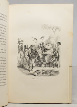 Scènes de la vie privée et publique des animaux. Études de moeurs contemporaines publiées sous la direction de M. P. J. Stahl, avec la collaboration ...
