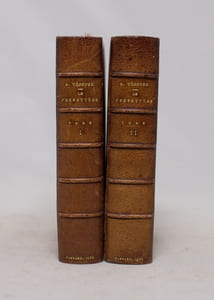 Le presbytère suivi de Elisa et Widmer.