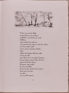 Verdures de la nuit.
