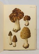 Image de livre
