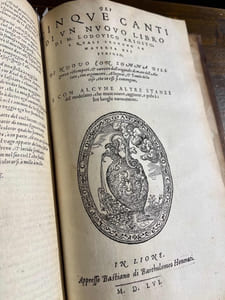 Orlando Furioso ornato di varie figure, con cinque canti d'un nuovo libro & altre stanze del medesimo, nuovamente aggiunti: con belle Allegorie : & nel fine, una breve espositione de gli oscuri vocabuli: Con la Tavola di tutto quello che nell'opera si contiene.