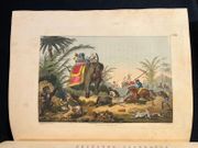 Oriental Field Sports; being a complete, detailed, and accurate description of the Wild Sports of the East. par WILLIAMSON, Captain Thomas; HOWITT Samuel: - Image 5