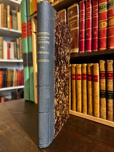 Mémoire sur le système primitif des voyelles dans les langues indo-européennes.