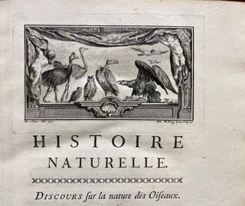 Histoire naturelle des oiseaux.