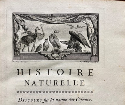 Histoire naturelle des oiseaux.. BUFFON, Georges Louis Marie Leclerc, Comte de; GUÉNEAU de MONTBEILLARD Philippe; BEXON Gabriel, abbé: