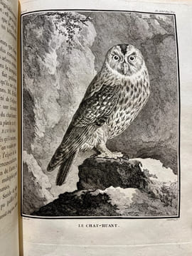 Histoire naturelle des oiseaux.. BUFFON, Georges Louis Marie Leclerc, Comte de; GUÉNEAU de MONTBEILLARD Philippe; BEXON Gabriel, abbé: