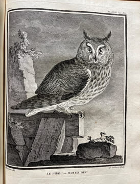 Histoire naturelle des oiseaux.. BUFFON, Georges Louis Marie Leclerc, Comte de; GUÉNEAU de MONTBEILLARD Philippe; BEXON Gabriel, abbé: