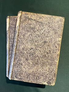 Lettres sur l'Italie, en 1785. par M. du Pati.