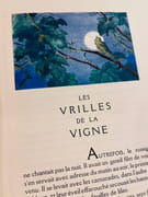 Les vrilles de la vigne. par COLETTE: - Image 5