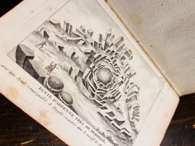 Minéralogie des Volcans, ou Description de toutes les Substances produites ou rejetées par les Feux souterrains.