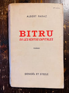 Bitru ou les vertus capitales. Roman.
