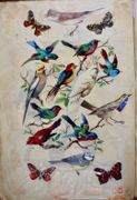 Image de livre