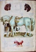 Image de livre