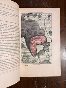 Voyages très extraordinaires de Saturnin Farandoul dans les 5 ou 6 parties du monde et dans tout les pays connus et même inconnus de M. Jules Verne.