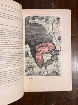 Voyages très extraordinaires de Saturnin Farandoul dans les 5 ou 6 parties du monde et dans tout les pays connus et même inconnus de M. Jules Verne.. ...