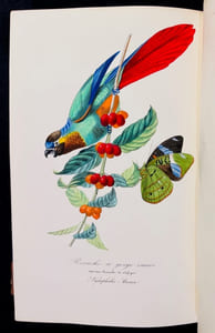 Le jardin des plantes. Description complète, historique et pittoresque du Muséum d’histoire naturelle, de la ménagerie, des serres, des galeries de minéralogie et d’anatomie, et de la vallée suisse.