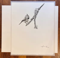 Alpes, calligraphies sauvages.