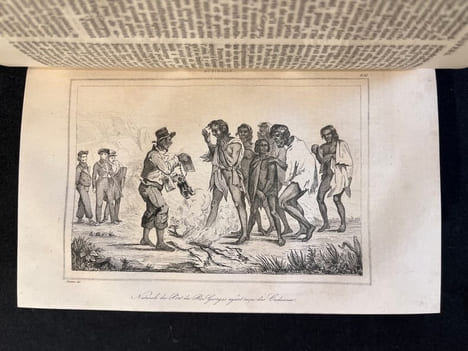 Océanie ou cinquième partie du monde. Revue géographique et ethnographique de la Malaisie, de la Micronésie, de la Polynésie et de la Mélanésie; ...