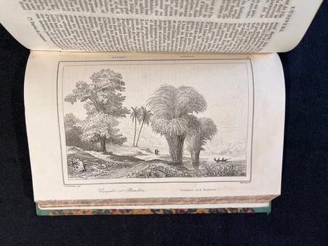 Océanie ou cinquième partie du monde. Revue géographique et ethnographique de la Malaisie, de la Micronésie, de la Polynésie et de la Mélanésie; ...