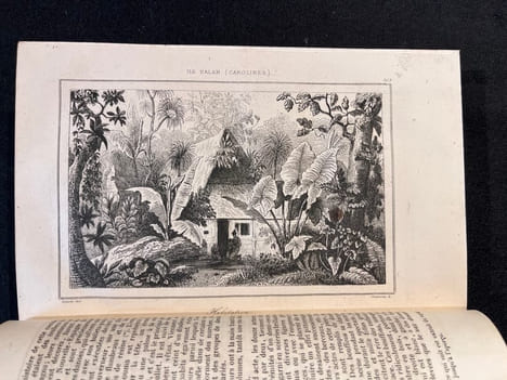 Océanie ou cinquième partie du monde. Revue géographique et ethnographique de la Malaisie, de la Micronésie, de la Polynésie et de la Mélanésie; ...
