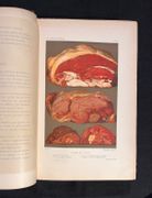 Le livre de cuisine. Comprenant la cuisine de ménage et la grande cuisine. par GOUFFÉ Jules: - Image 3